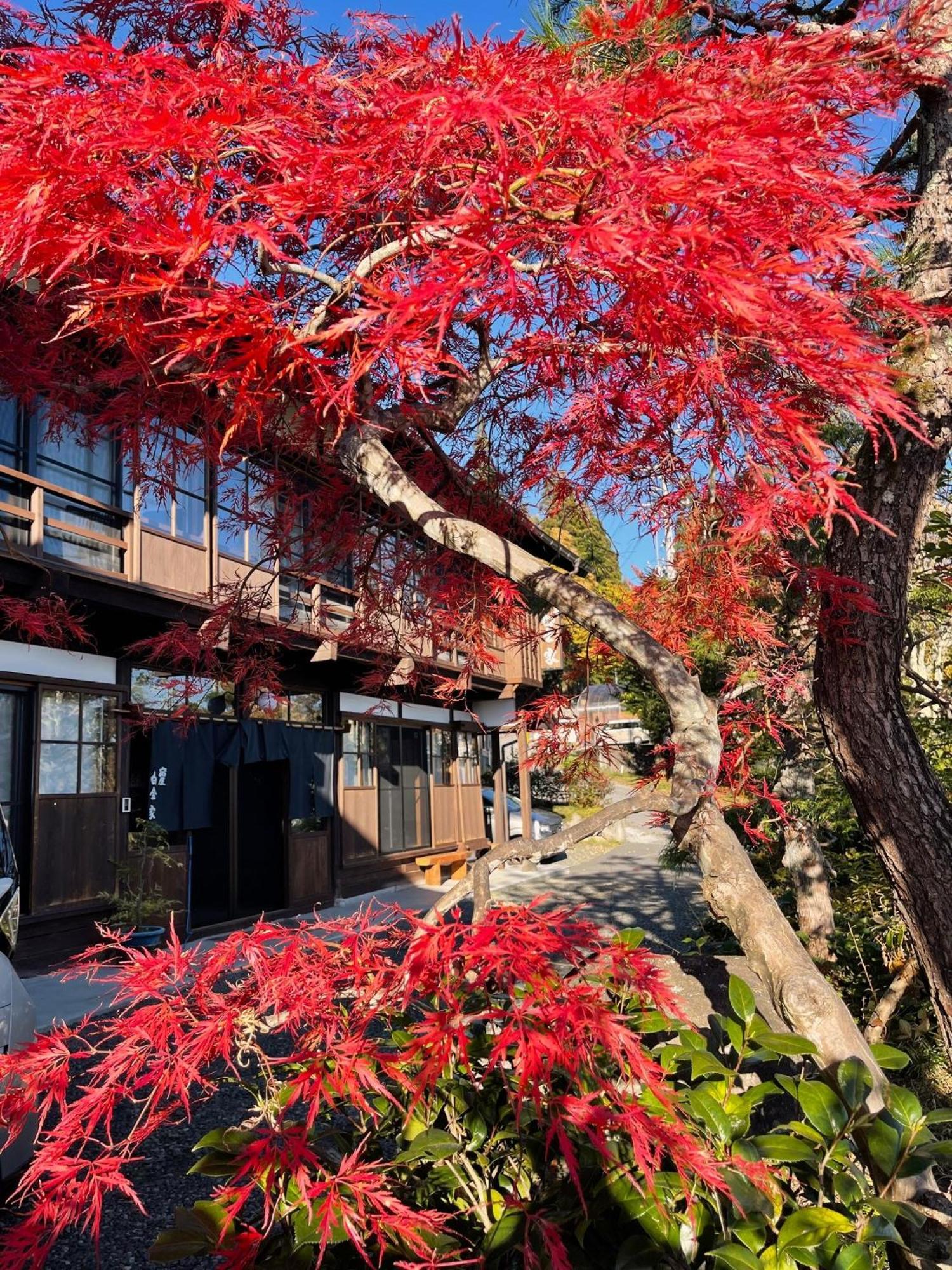 宿屋白金家 Yadoya-Shiroganeya 1日1組限定2名から8名様まで 全館貸切り 伝統的建造物の旅籠宿 Traditional Culture Experience Nagano Esterno foto
